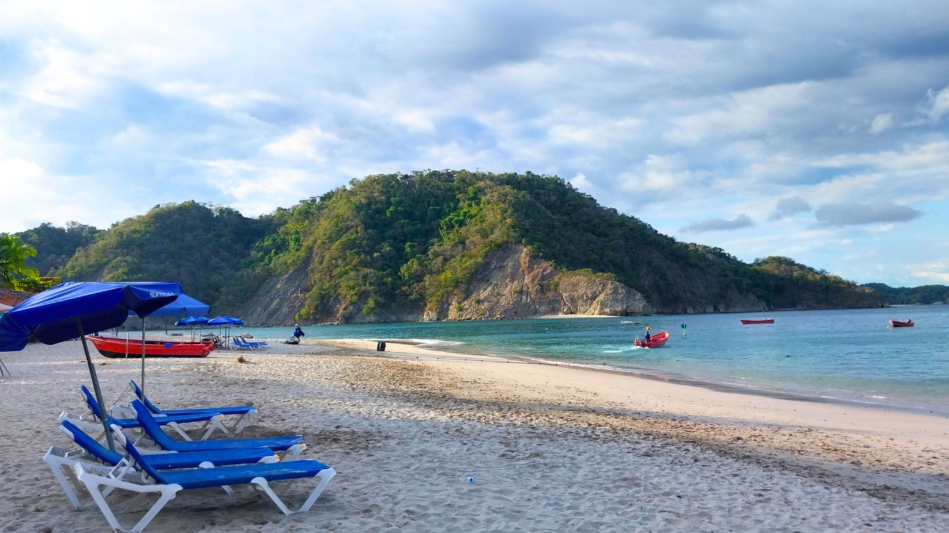 Sitio web de bodas orgánico cálido en marrón claro y blanco (3)